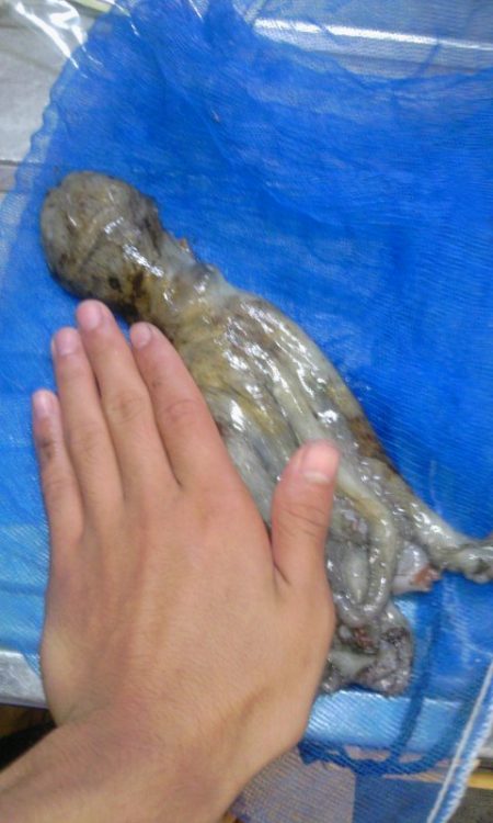 気持ちいい釣り